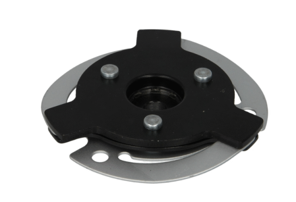 KVACILO KOMPRESORA KLIME SANDEN AUDI / SEAT / VW / SKODA EK313 - Image 2